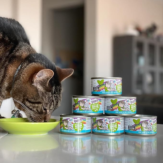 Weruva B.F.F. OMG - Best Feline Friend Oh My Gravy!, Tuna & Turkey Tell Me with Tuna & Turkey, 2.8oz Can (Pack of 12)