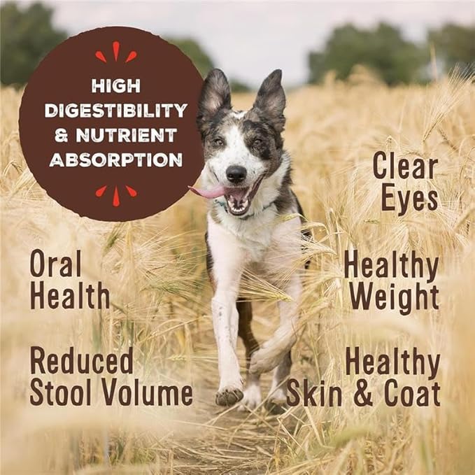 Primal Freeze Dried Raw Dog Food Nuggets, Venison, Complete & Balanced Meal, Also Use as Topper or Treat, Premium, Healthy, Grain Free, High Protein Raw Dog Food, 14 oz