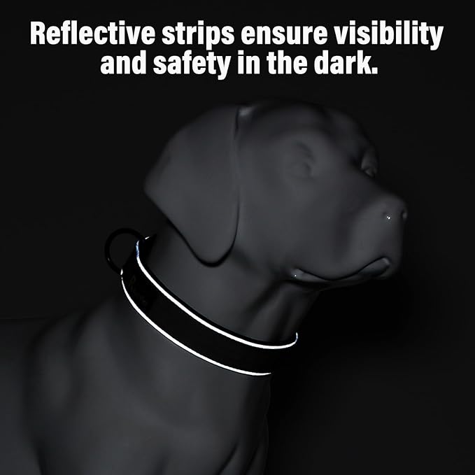 Plutus Pet Tactical Dog Collar, Reflective, Adjustable Heavy Duty Dog Collar, Soft Padded and Comfortable, for Small Medium and Large Dogs (Cyan, L)
