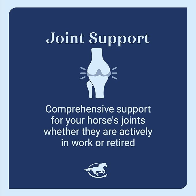 SmartEquine Leg Up Joint Pellets | Joint Support Supplement For Horses | Glucosamine Chondroitin Sulfate and Antioxidants Formula With No Added Sugar | Ideal For Light Work Horses | 45 Servings | 2 lb