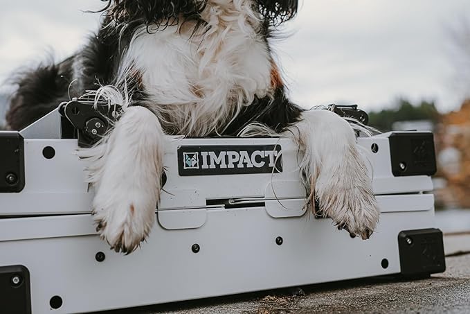 Impact Collapsible Dog Crate - Foldable Hard Crate for Extra Large Dogs - Heavy Duty Travel Kennel with Powder-Coated Aluminum - Quick Setup for Indoor & Outdoor (Black, 40"+ (40.5" L x 27.5”W x 34" H