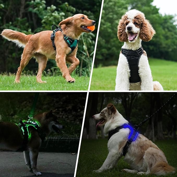 Taglory Light Up Dog Harness, Rechargeable No Pull Dog Vest with 3 Lightning Modes, Reflective Dog Harness with 2 Leash Clips & 4 Adjustable Slide Strips for Small Dogs, Orange-Orange, S