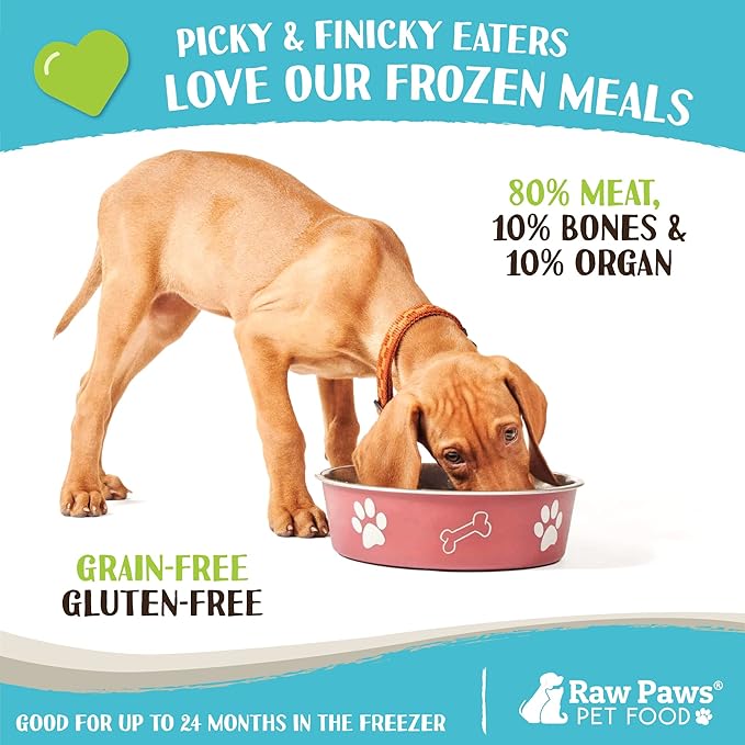 Raw Paws Signature Blend Pet Food for Dogs & Cats - Beef Recipe, 1-lb Rolls (10 Pack) - Fresh Pet Food Made in USA, Grass-Fed Beef Log, Natural Dog Food Rolls, Raw Frozen Dog Food & Cat Food