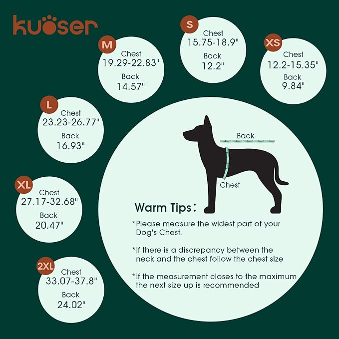 Kuoser Dog Surgery Recovery Suit, Thigh Wound Protective Sleeve for Dogs, Dog Recovery Sleeve for Female Male Dogs, Pet Surgical Suit for Spay Neuter, Dog Onesie After Surgery, Green XXL