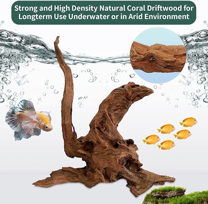 5 Pcs Driftwood Branches Aquarium Wood Decoration Natural Fish Tank Habitat Decor Wood for Lizard Assorted Size-Small