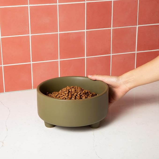 Waggo Uplift Ceramic Dog Bowl for Small Medium and Large Breeds - Heavyweight and Durable Pet Food and Water Dish Crock, Dishwasher Safe, Modern, Elevated Feeder (Olive, Large)