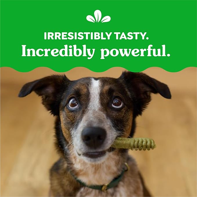 Greenies Regular Dental Dog Treats, Sweet Potato Flavor, 36 oz. Pack (36 Treats)