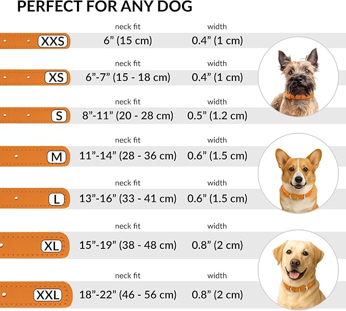 CollarDirect Rolled Leather Dog Collar, Soft Padded Round Puppy Collar, Handmade Genuine Leather Collar Dog Small Large Cat Collars 13 Colors (18-22 Inch, Orange Textured)