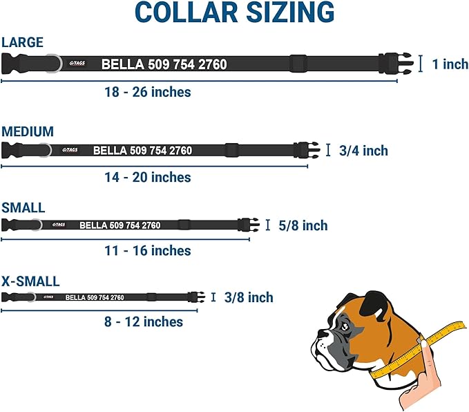 GoTags Reflective Personalized Dog Collar with Nameplate, Adjustable Dog Collar with Custom Engraved Steel Slide On Pet ID Tag, Silent, No Noise Dog Tag for Large Medium or Small (Light Gray, Medium)