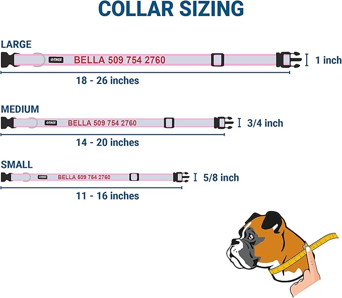 GoTags Reflective Personalized Dog Collar with Nameplate, Adjustable Dog Collar with Custom Engraved Steel Slide On Pet ID Tag, Silent, No Noise Dog Tag for Large Medium or Small (Pink, Small)
