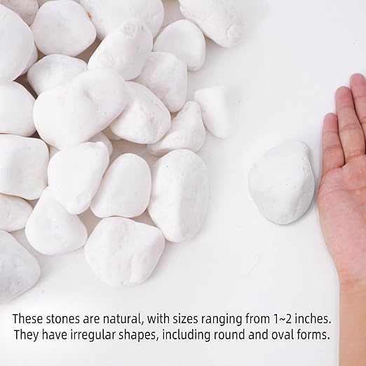 18LB 1"-2" White River Rocks for Plants, Polished Pebbles for Garden Landscaping, Planters, Aquariums, Vase Fillers – Indoor & Outdoor Decor