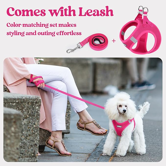 rabbitgoo Dog Harness Small Medium Sized and Leash Set, Step in Soft Light Puppy Vest, Breathable Mesh Pet Harness, Reflective for Safe Easy Walking, Rosa Red XL