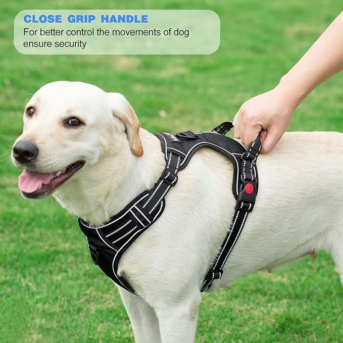 No Pull Dog Harness Adjustable Reflective Oxford Easy Control Medium Large Harness with A Free Heavy Duty 5ft Dog Leash (L (Neck: 18"-25.5", Chest: 24.5"-33"), Pink)