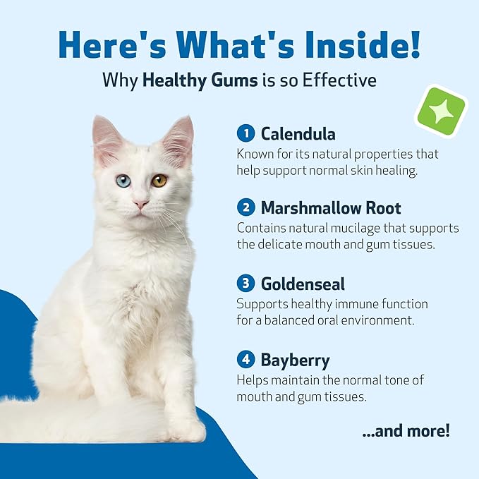 Pet Wellbeing Healthy Gums for Cats - Gums & Dental Health, Oral Care, Healthy Breath, Coenzyme Q10, Zinc Oxide, Calendula, Marshmallow Root - Veterinarian-Formulated Holistic Topical 4 oz (118 ml)
