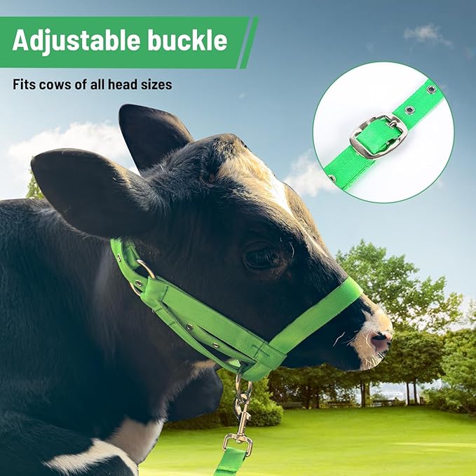 XUANNIAO Easily Adjustable Figure 8 Cow Halter, Double-Ply Premium Livestock Cattle Halters, Colorful Cow Utility Calf Halter with Leading Rope for Miniature Horse Donkey Goat Foal (Medium, Pink)
