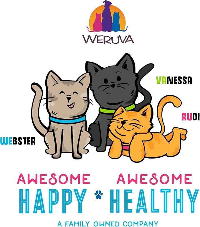 Weruva B.F.F. OMG - Best Feline Friend Oh My Gravy!, Chicken & Beef Be Happy with Chicken & Beef in Gravy, 2.8oz Can (Pack of 12)
