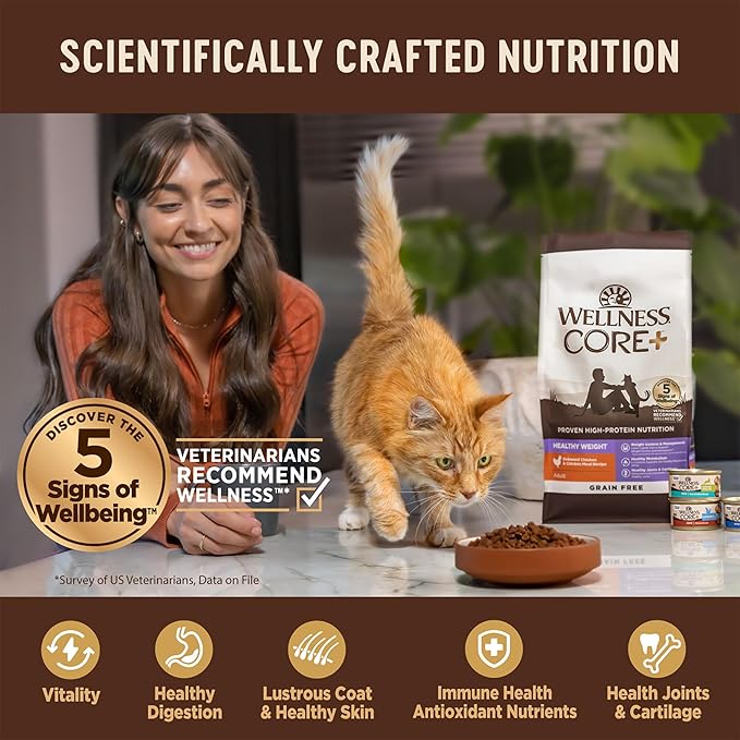 Wellness CORE+ Adult Dry Cat Food for Indoor and Outdoor Cats, Wholesome Grains, Natural, Digestive Health Chicken & Rice (5 Pound Bag)