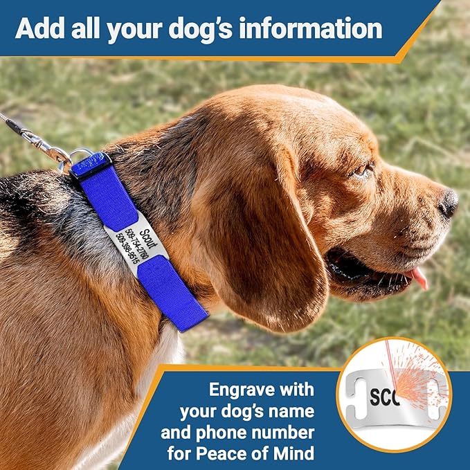 GoTags Reflective Personalized Dog Collar with Nameplate, Adjustable Dog Collar with Custom Engraved Steel Slide On Pet ID Tag, Silent, No Noise Dog Tag for Large Medium or Small (Lavender, Large)