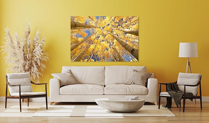 Nature Wall Art Prints - Ocean Forest Mountain Lake Canvas Landscapes - Small to Extra Large Living Room Bedroom Kitchen Bathroom Décor (Reaching for the Sky, 28L" x 41W")