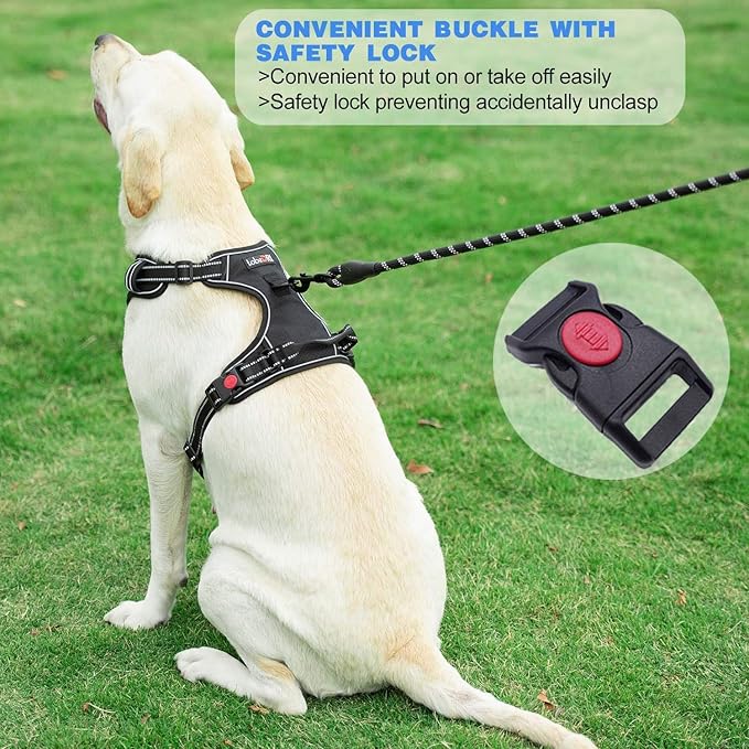 No Pull Dog Harness Adjustable Reflective Oxford Easy Control Medium Large Harness with A Free Heavy Duty 5ft Dog Leash (L (Neck: 18"-25.5", Chest: 24.5"-33"), Pink)