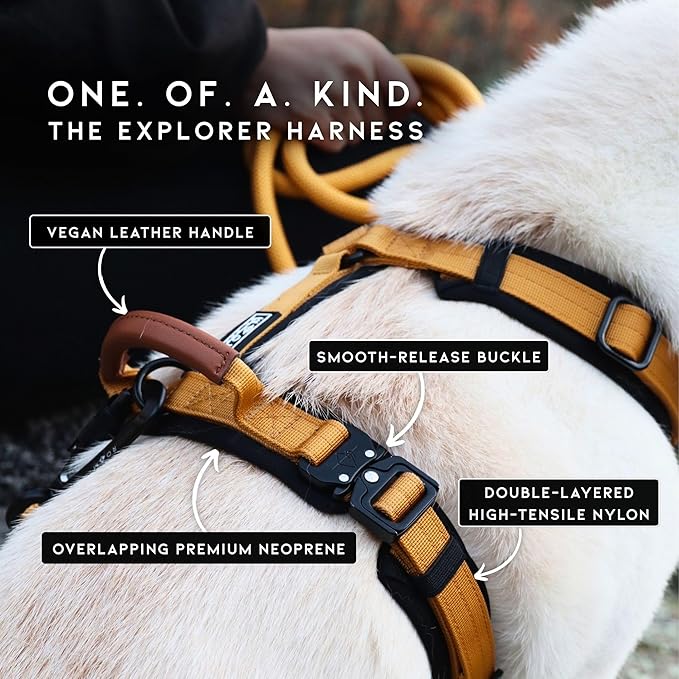MADE TO ROAM Premium Explorer Harness - Y-Shaped Dog Harness with Adjustable Durable Nylon, Soft Padding, Metal Buckles and Leather Handle for Small, Medium, Large Dogs (Arizona Heartbeat, Size 6)