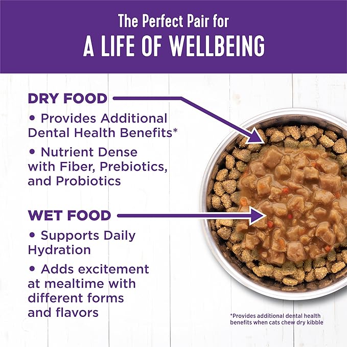 Wellness Complete Health Gravy Adult Wet Cat Food, Natural, Protein-Rich, Grain Free, 5.5 Ounce , 12 Pack, (Chicken Dinner)
