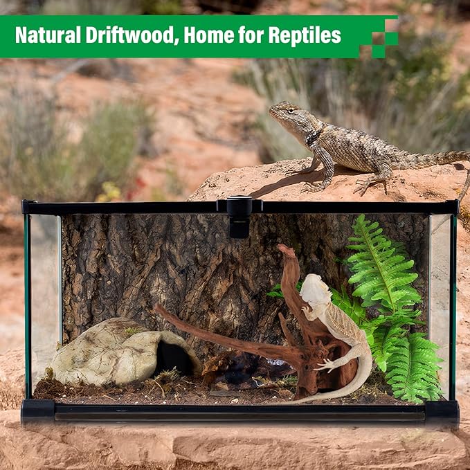 Driftwood for Aquarium Natural Aquarium Wood for Aquascaping Fish Tank Decorations Reptile Tank Decor (Natural Driftwood 12-16" 1 Pack+Protein Cotton)