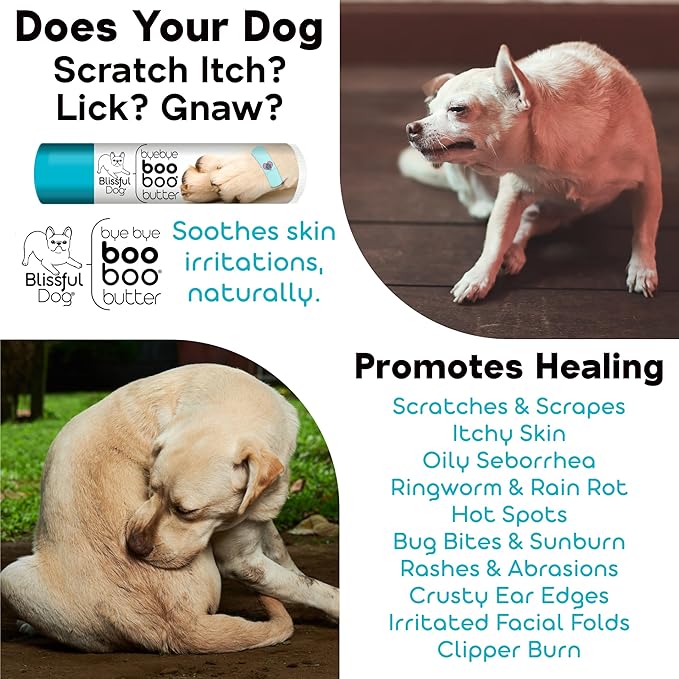 The Blissful Dog West Highland Terrier Boo Butter, 0.50 oz