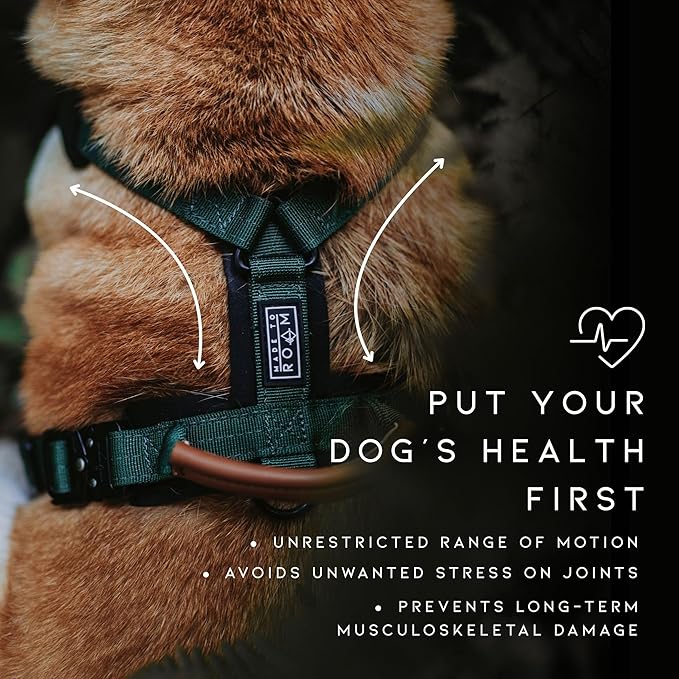 MADE TO ROAM Premium Explorer Harness - Y-Shaped Dog Harness with Adjustable Durable Nylon, Soft Padding, Metal Buckles and Leather Handle for Small, Medium, Large Dogs (Florida Seaside, Size 6)
