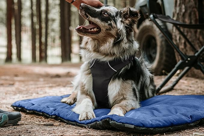 K9 Ballistics Tough Ripstop Dog Crate Pad - Durable & Machine Washable with Non-Skid Bottom and 120-Day Warranty, Fits 30" Wire Crates - Small, Light Gray Velvet