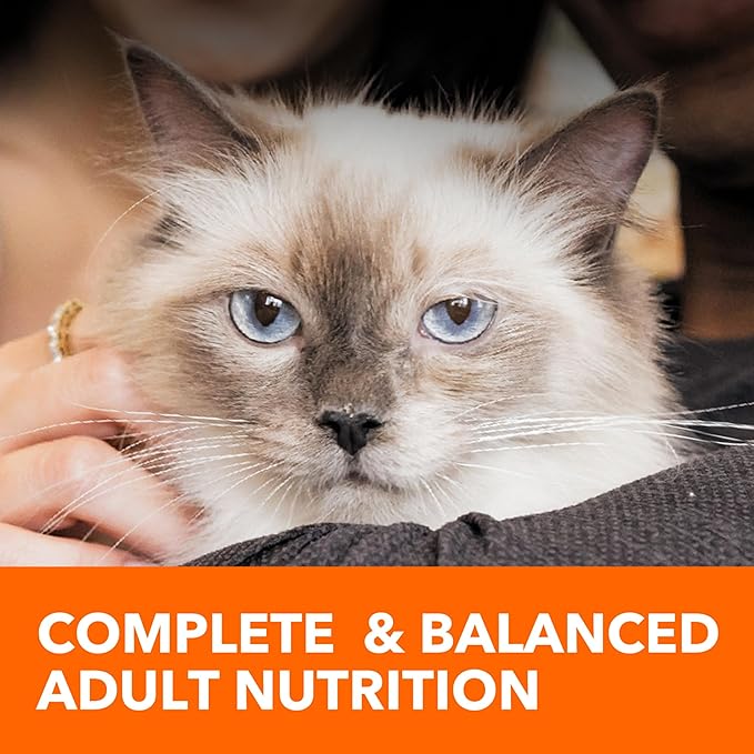 IAMS Proactive Health Adult Sensitive Digestion & Skin Dry Cat Food with Turkey, 13 lb. Bag