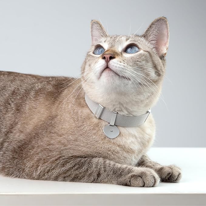 Safety Cat Collar Pro and Tag Set - U.S. IDA Gold Award, Elastic Release Cat Collar Charm Tag, Non Breakaway Cat Collar Adjustable with Charm for Kitten Small Large Cats (Blush Pink, M)
