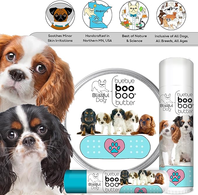 The Blissful Dog 2 oz TIN Cavalier King Charles Spaniel Booboo Butter