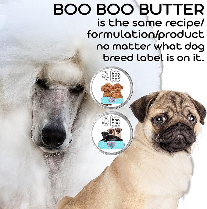 The Blissful Dog .15 oz Tube Goldendoodle Booboo Butter
