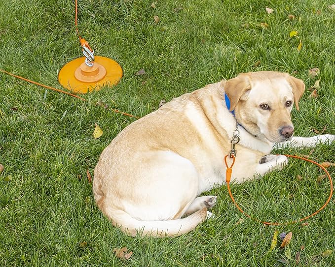 25FT Tie-Out Cables for Dogs - Strong, Safe, and Durable Dog Tie-Outs for Every Breed up to 125 Pounds - Weather and Wear Resistant Galvanized Aircraft Cable for Outside Use