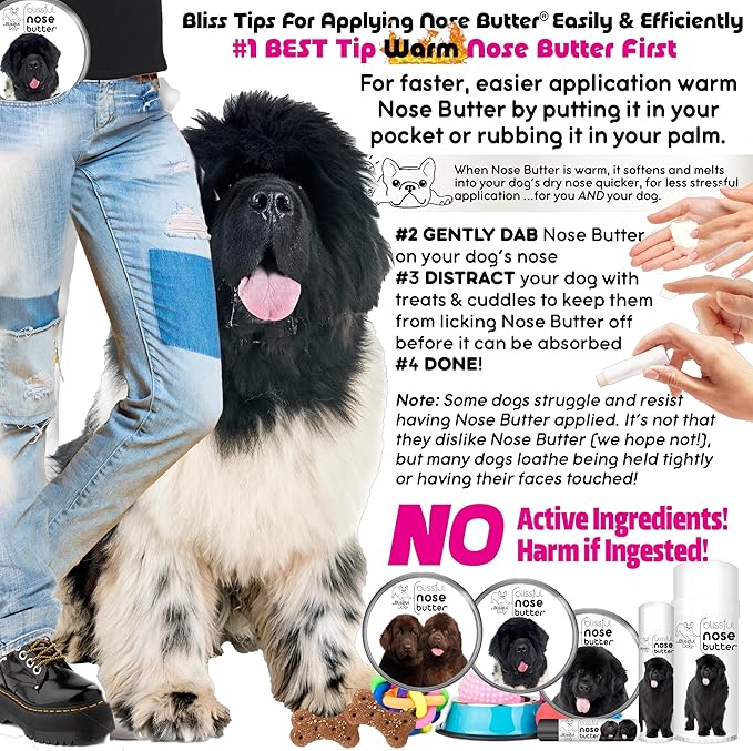 The Blissful Dog Newfoundland Unscented Nose Butter - Dog Nose Butter, 4 Ounce