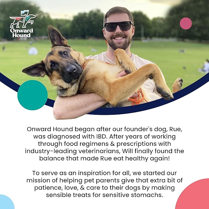 Training Treats for Dogs - Soft Salmon - Low Calorie Dog Training Treats for Sensitive Stomachs with Single Source Premium Protein, Corn Free, & Soy Free Formula - 10 oz